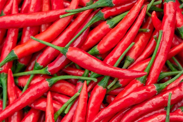 Quality Dried Red Chilli