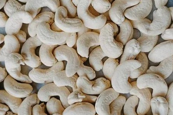 W180 Premium Whole White Cashew Kernels