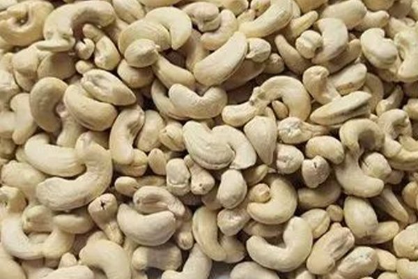 W320 Most Popular Export Cashew Kernels